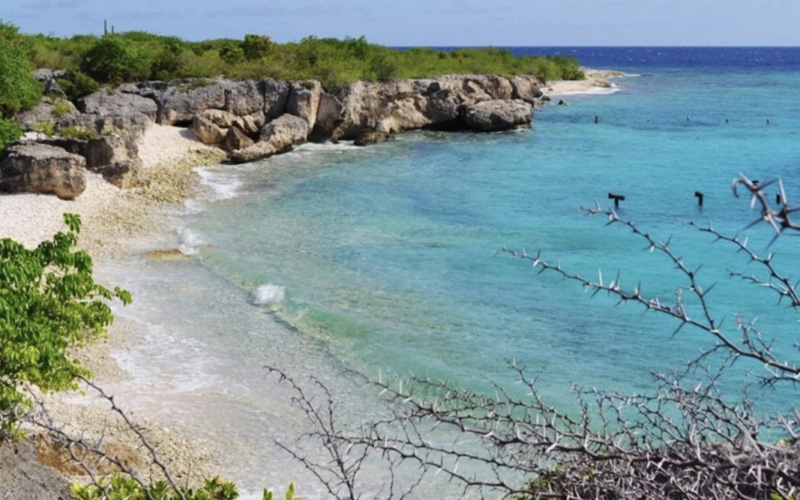 diving-in-curacao-directors-bay-small