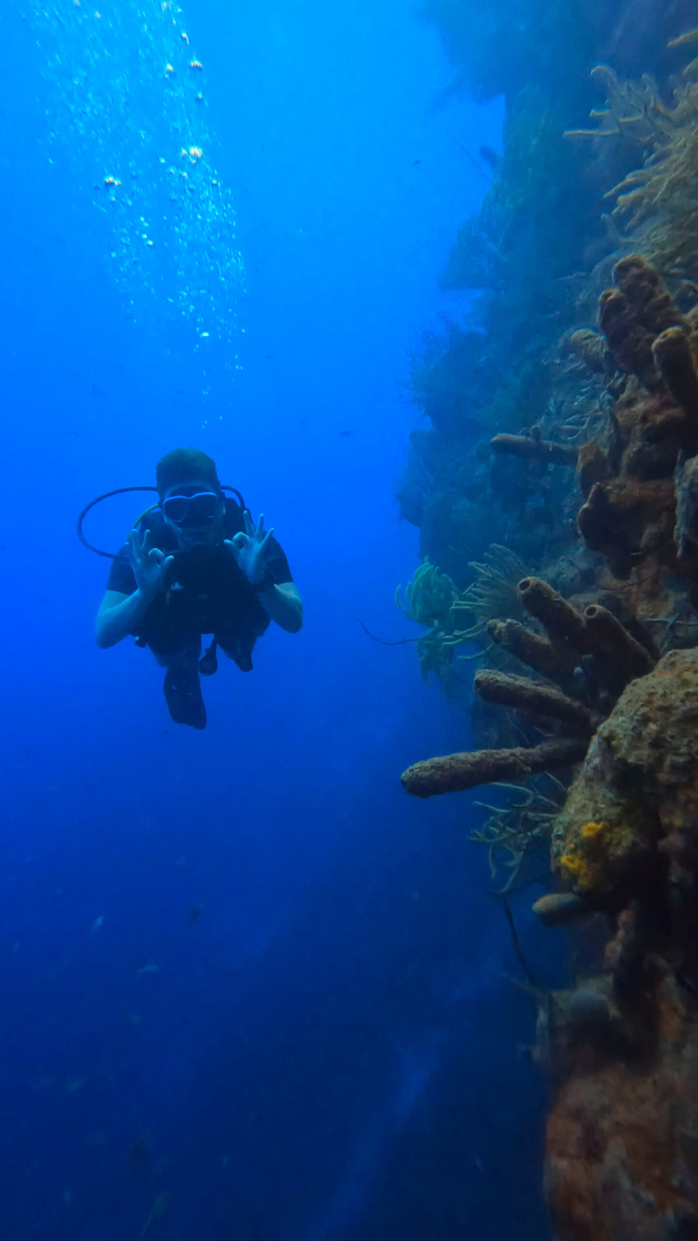 eastpoint wall dive boat dive