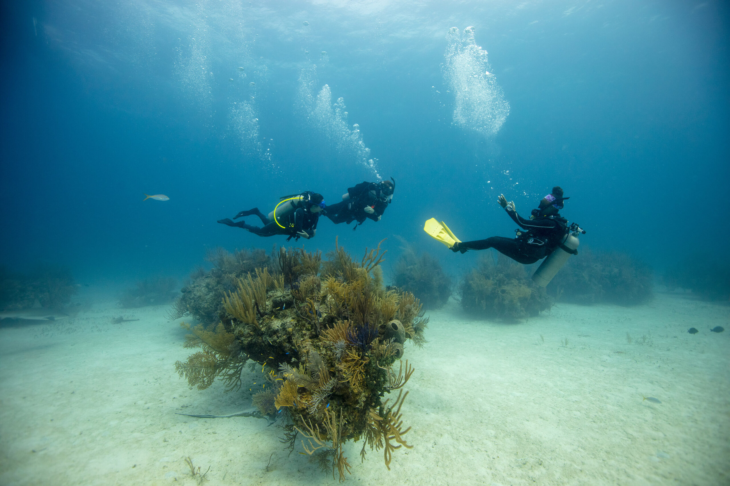 underwater-diving-school